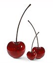 th-cherry.jpg